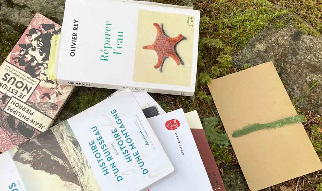 De retour d’un atelier écobiographique sur l’eau