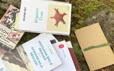De retour d’un atelier écobiographique sur l’eau