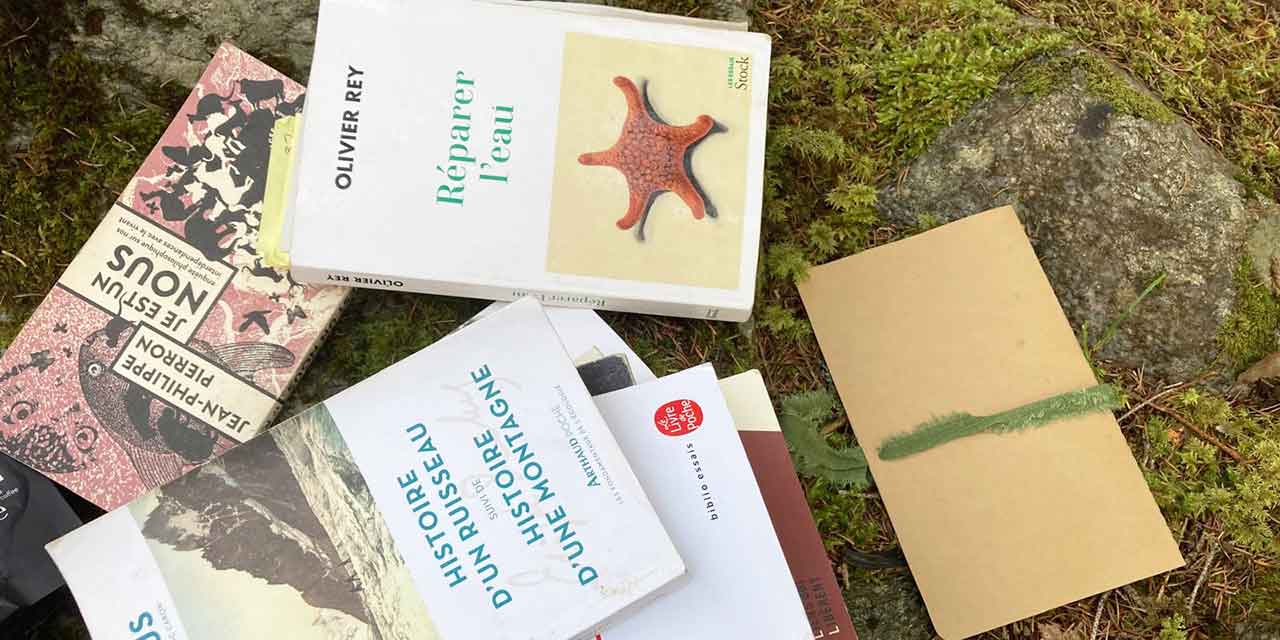 atelier écobiographique à Chamonix