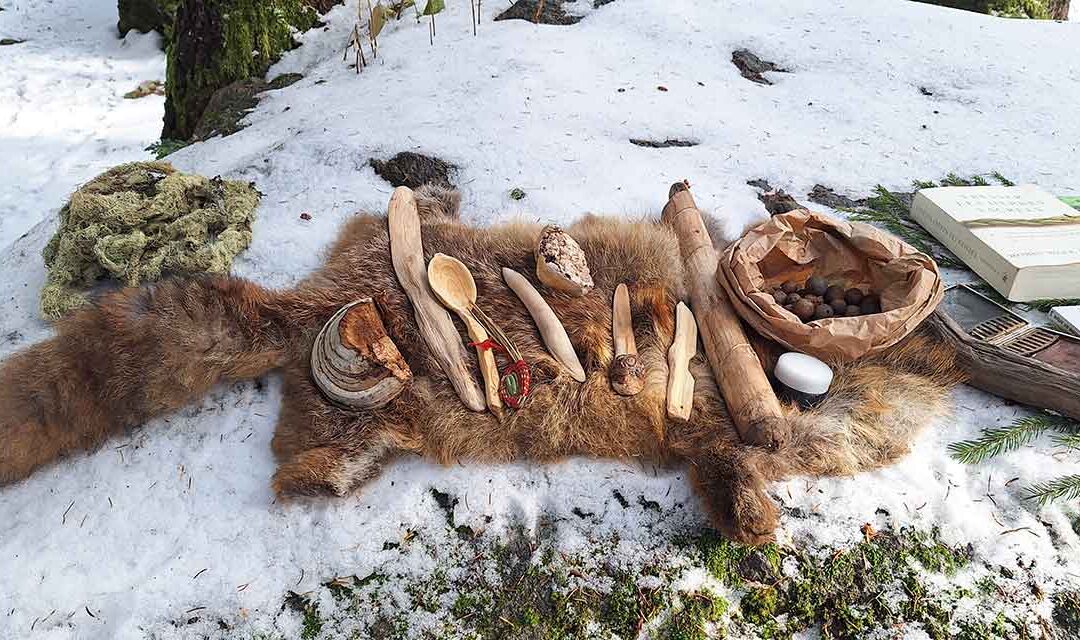 Tanner une peau de renard : pourquoi faire au XXIe siècle ?