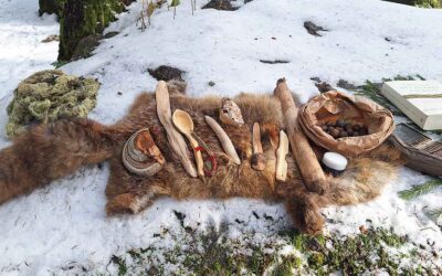Tanner une peau de renard : pourquoi faire au XXIe siècle ?