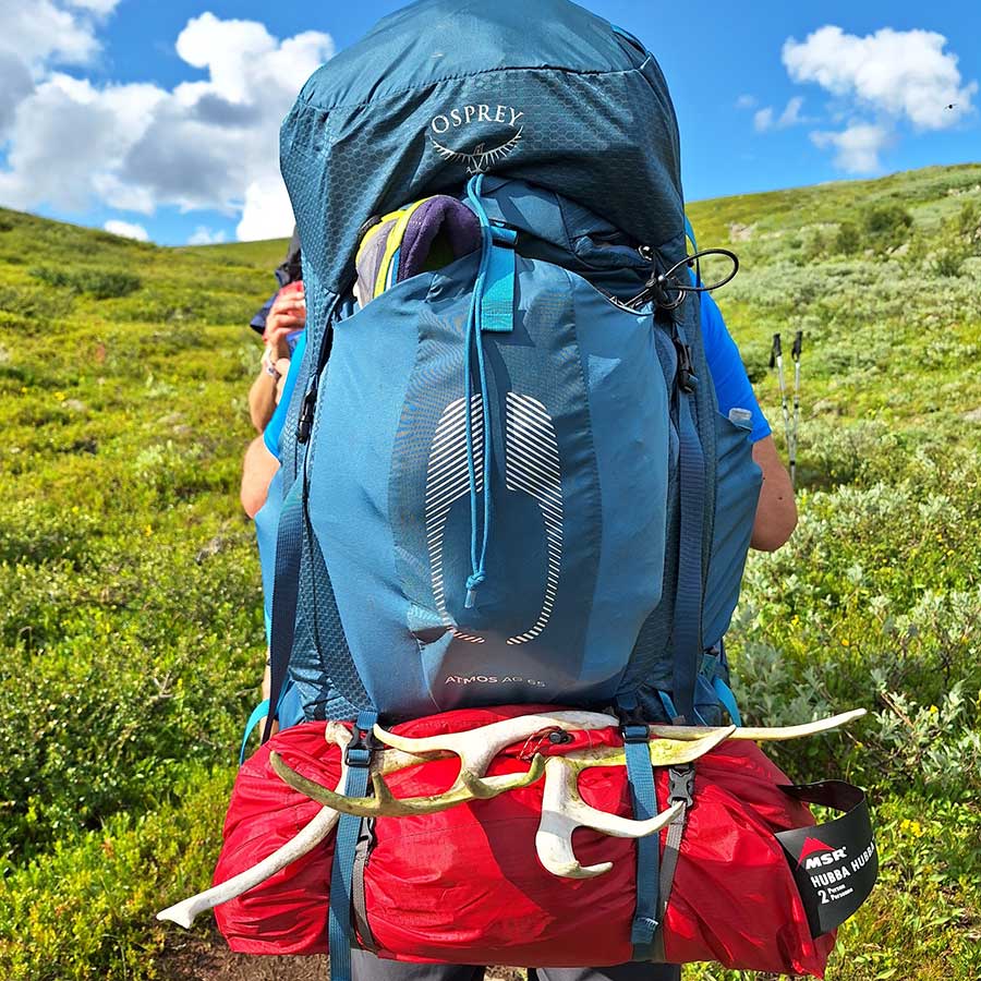 sejours-immersion-montagne