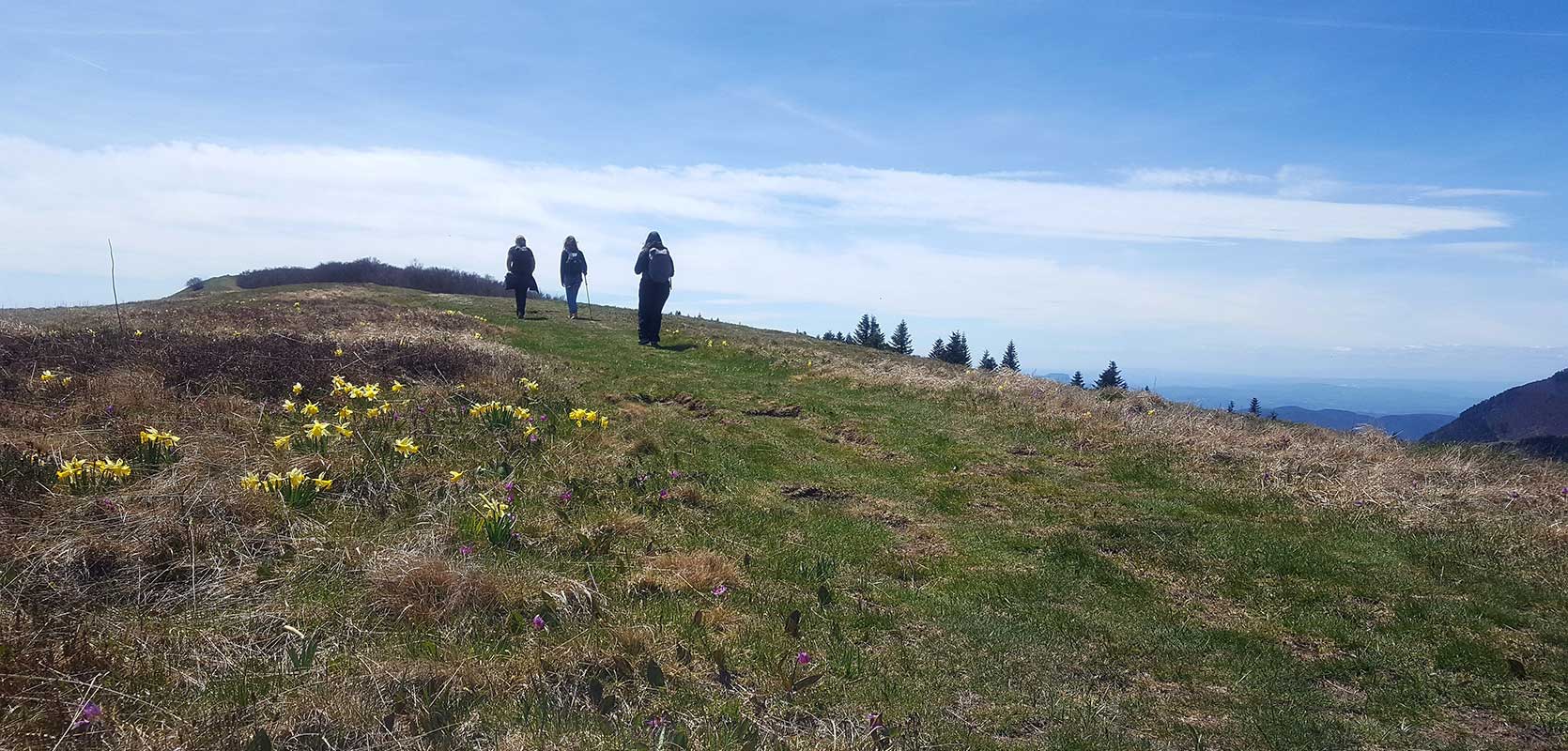 Immersion montagne pour les femmes engagées