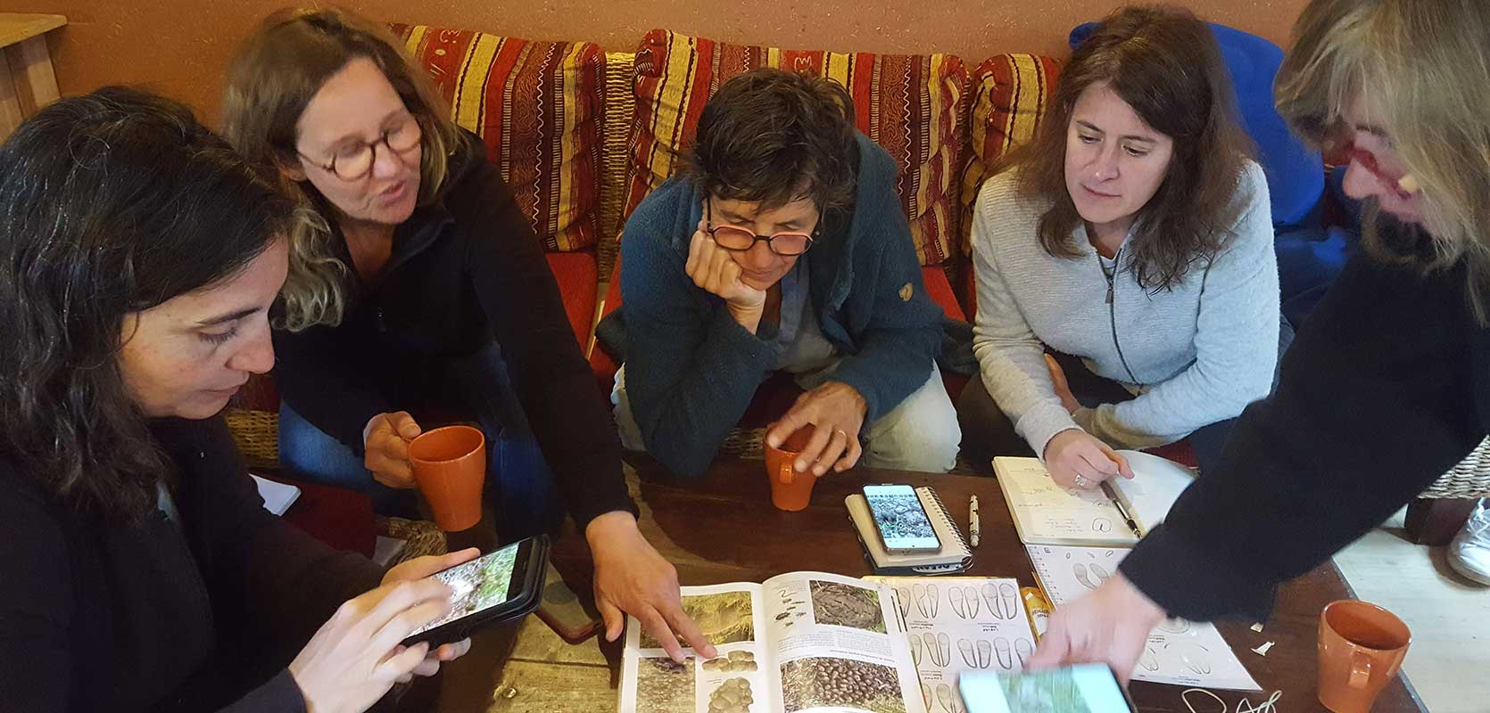 Immersion montagne pour les femmes engagées