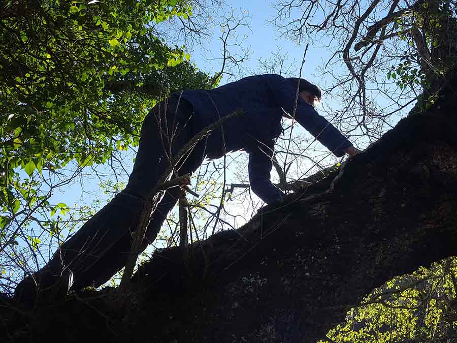 Stage immersion en territoire animal dans la Drôme