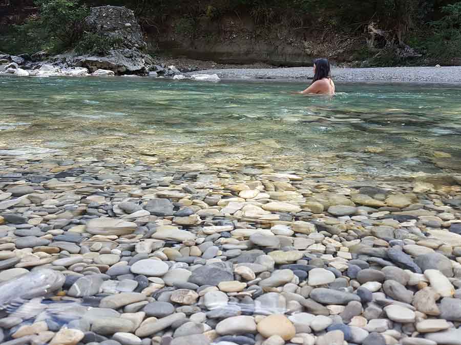 Stage immersion en territoire animal dans la Drôme