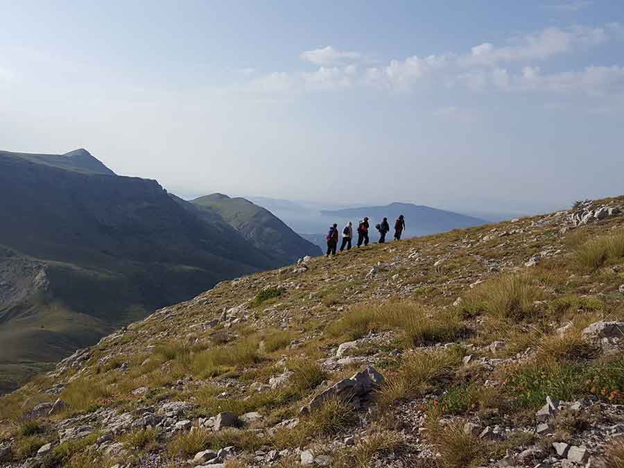 Stage immersion en territoire animal dans la Drôme
