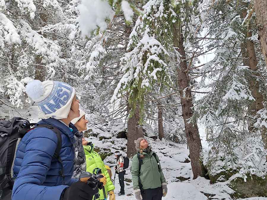 Ateliers écobiographiques dans la vallée de chamonix