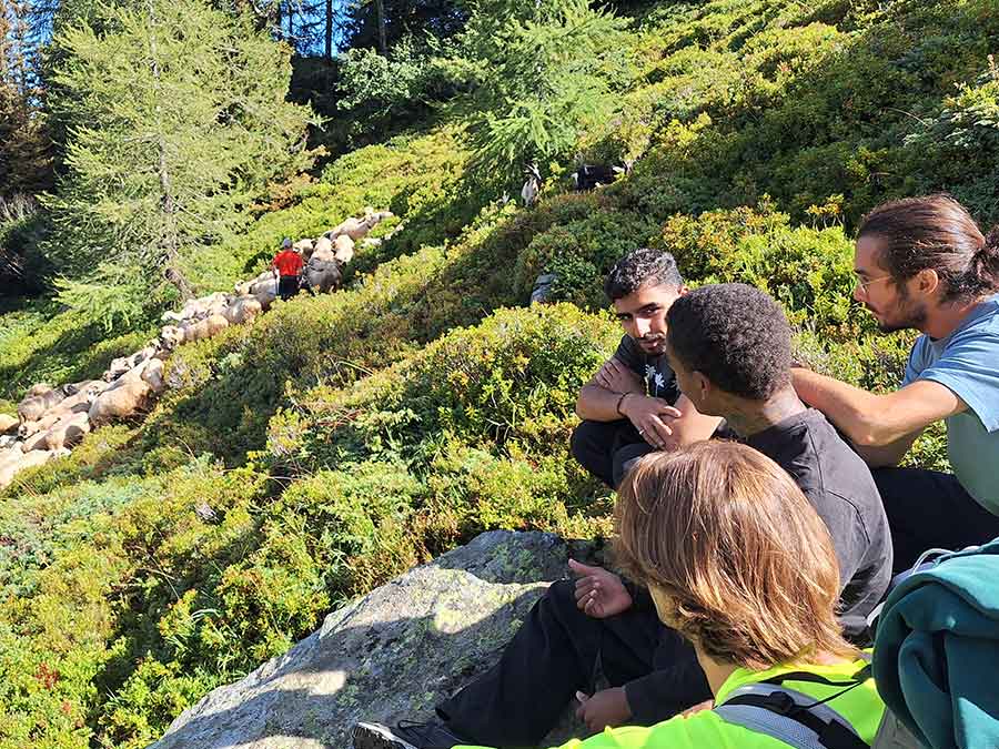 Formation écologie "hors-les-murs" à Chamonix Mont-blanc