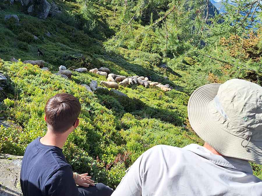 Formation écologie "hors-les-murs" à Chamonix Mont-blanc
