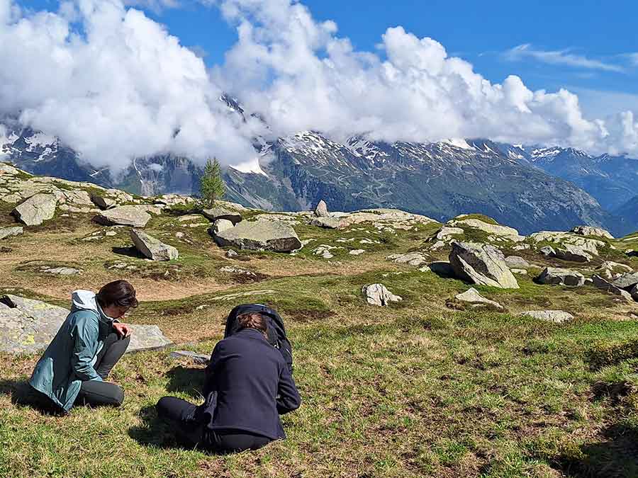 Formation écologie "hors-les-murs" à Chamonix Mont-blanc