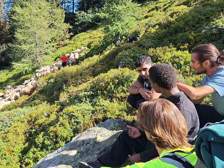 Formation en entreprise biodiversité à Chamonix Mont-Blanc