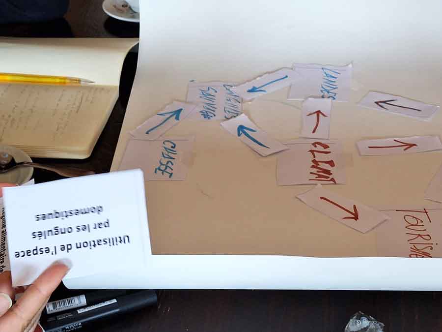 Formation en entreprise biodiversité à Chamonix Mont-Blanc