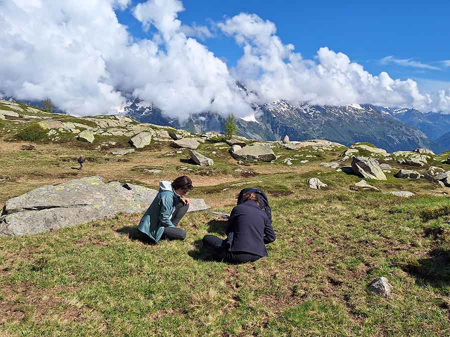 Formation en entreprise biodiversité à Chamonix Mont-Blanc