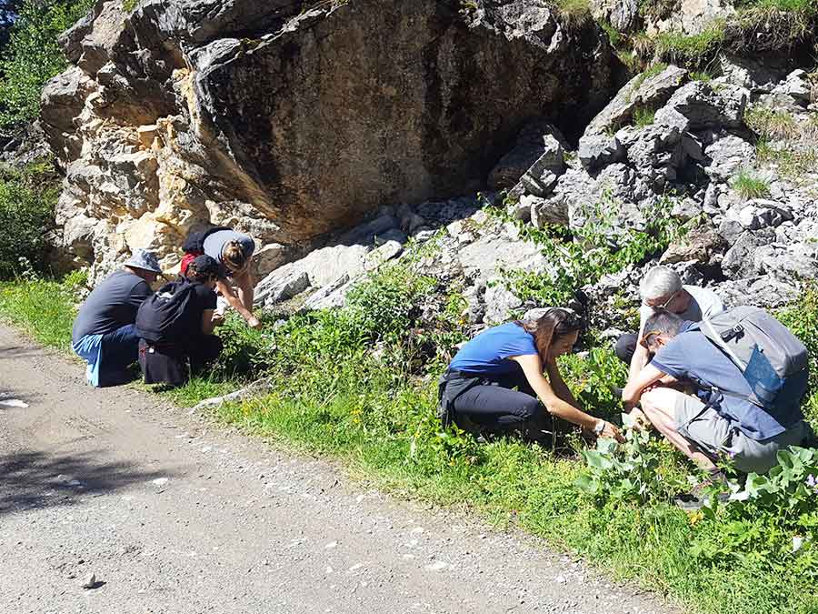 Formation en entreprise biodiversité à Chamonix Mont-Blanc