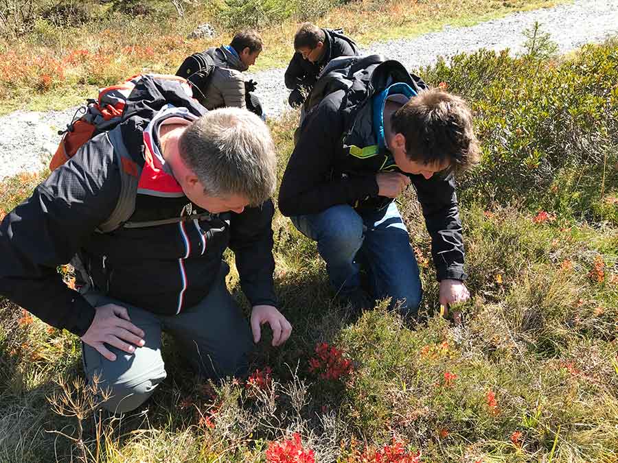 Formation en entreprise biodiversité à Chamonix Mont-Blanc