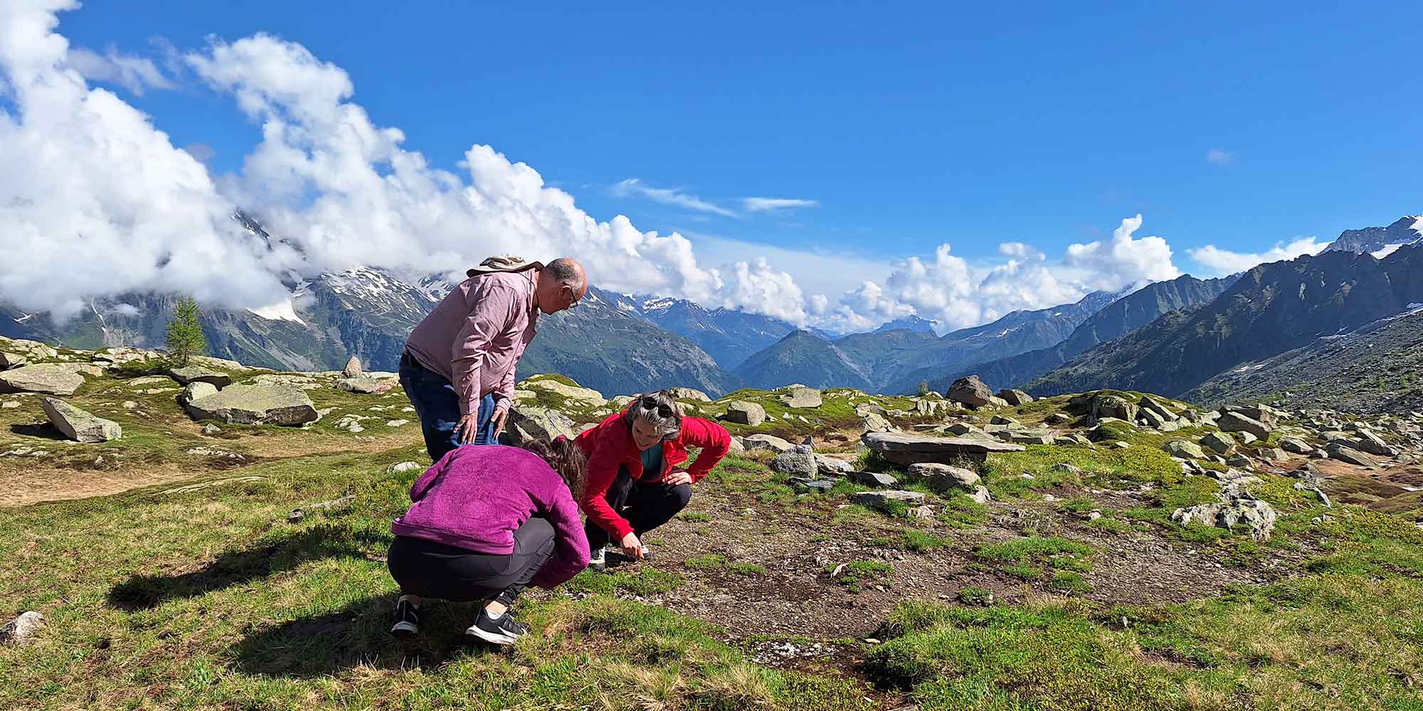 Formation en entreprise biodiversité à Chamonix Mont-Blanc