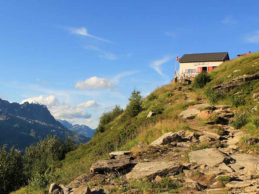 Séjour Immersion montagne vie sauvage