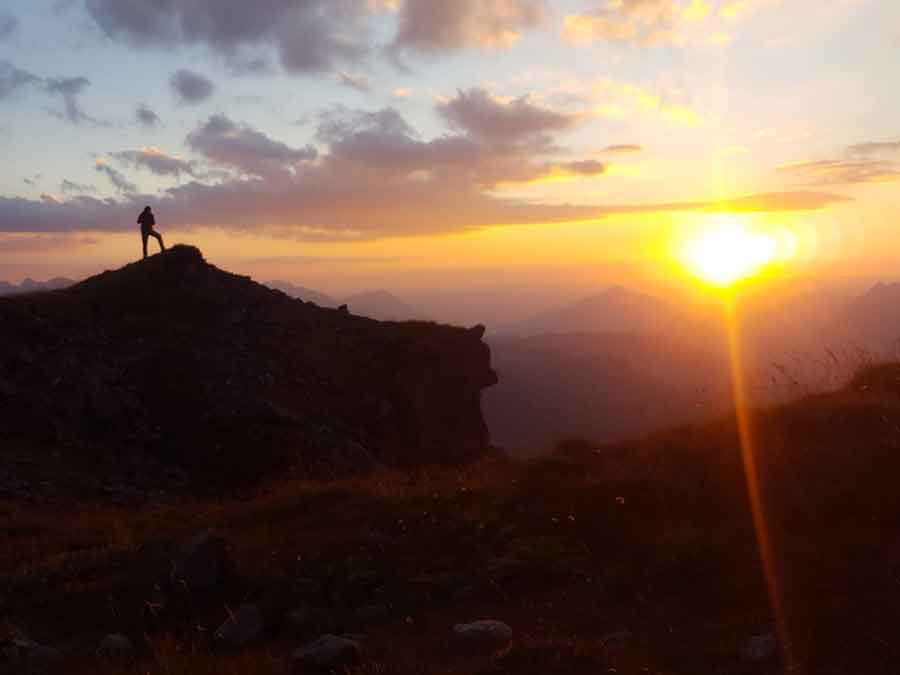 Séjour Immersion montagne vie sauvage