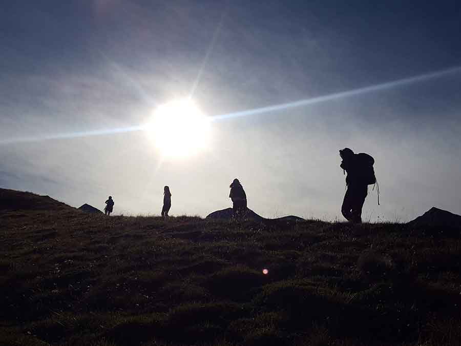 Séjour Immersion montagne vie sauvage