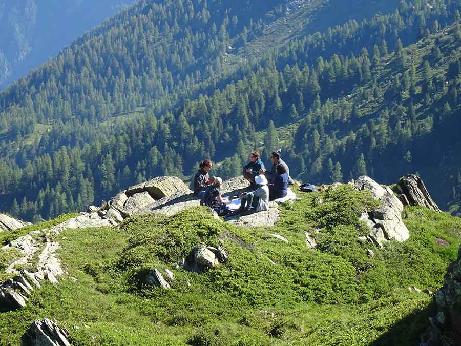 Séjour Immersion montagne vie sauvage