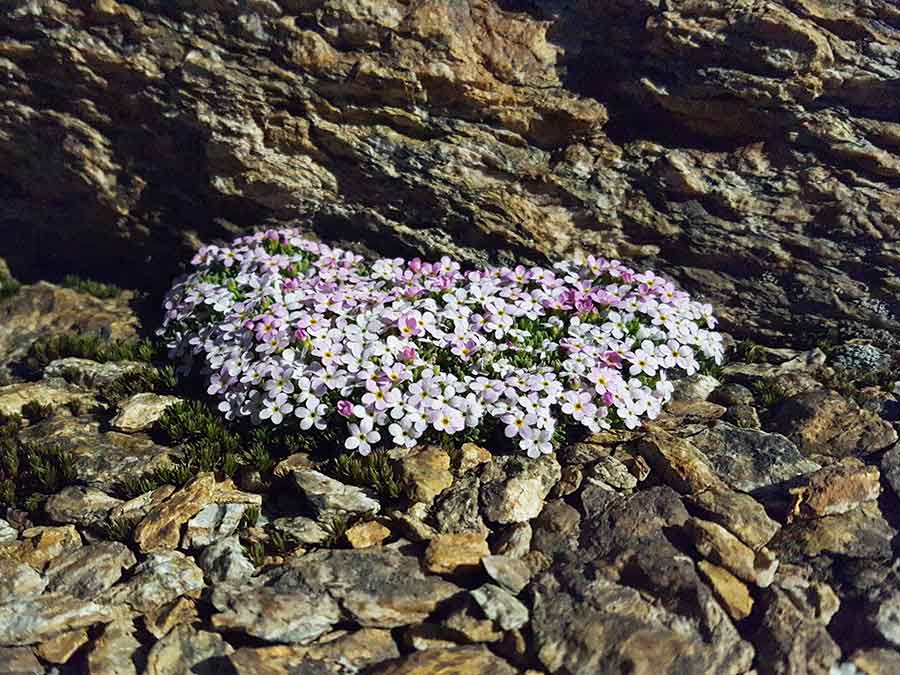 Itinérance en refuge dans le parc national de la Vanoise