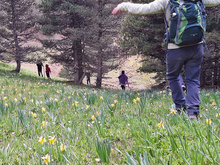 Séjour immersion montagne en famille dans le Vercors