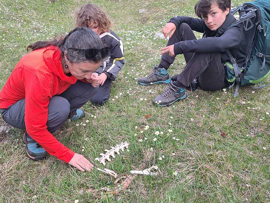 Séjour immersion montagne en famille dans le Vercors