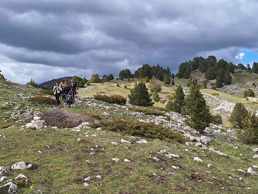 Séjour immersion montagne en famille dans le Vercors