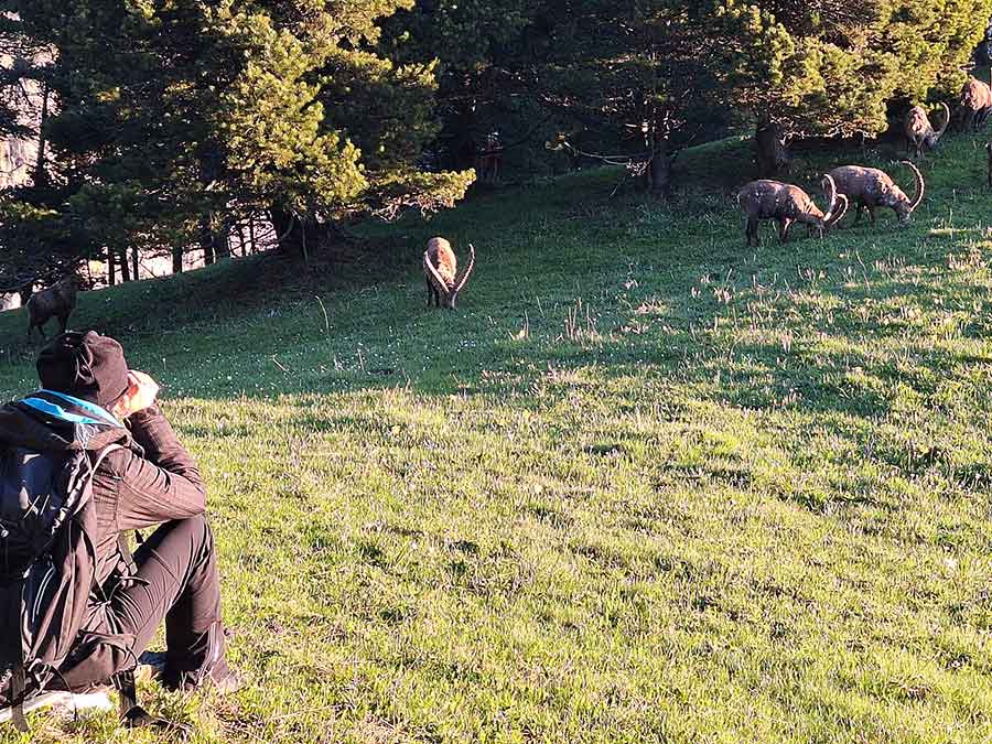 Séjour immersion montagne en famille dans le Vercors