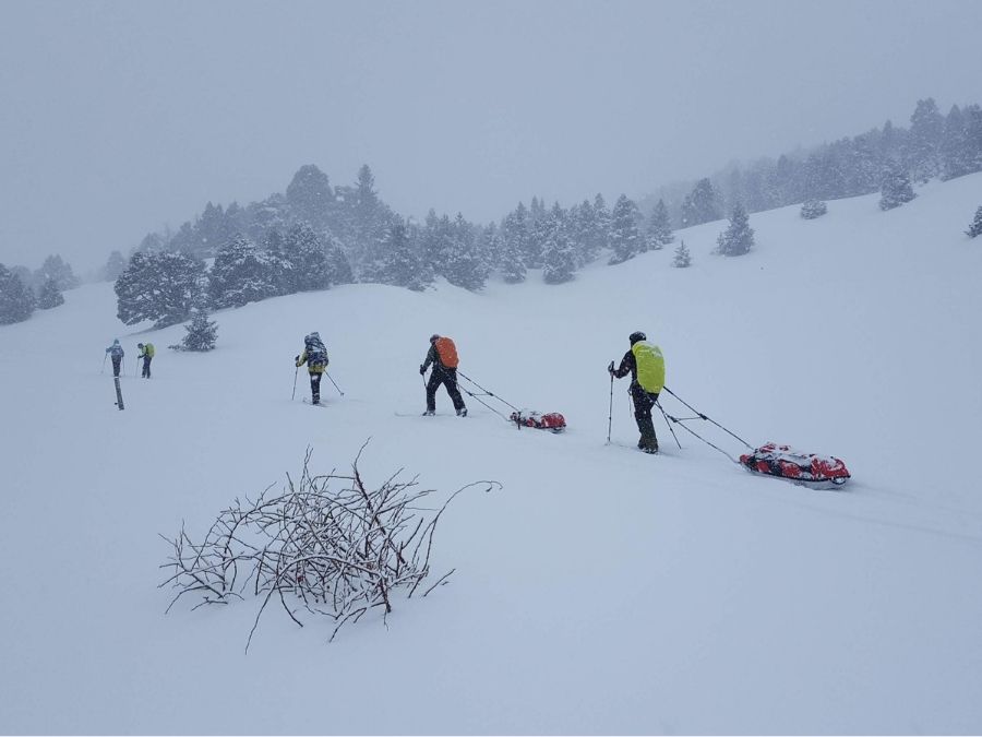 plusieurs personnes tirant des traineaux pulkas se suivent dans le brouillard