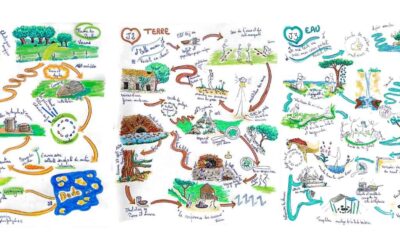 Comment se construit le programme d’un stage ?