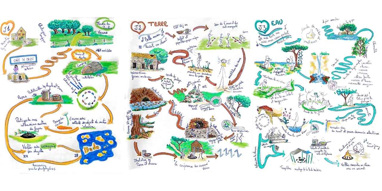 découvrir le programme du stage d'immersion en vie sauvage en scraping visuel