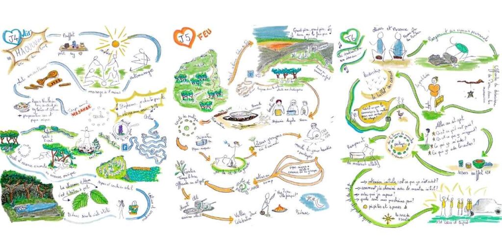 Découvrir le programme du stage vie sauvage territoires animaux en dessin
