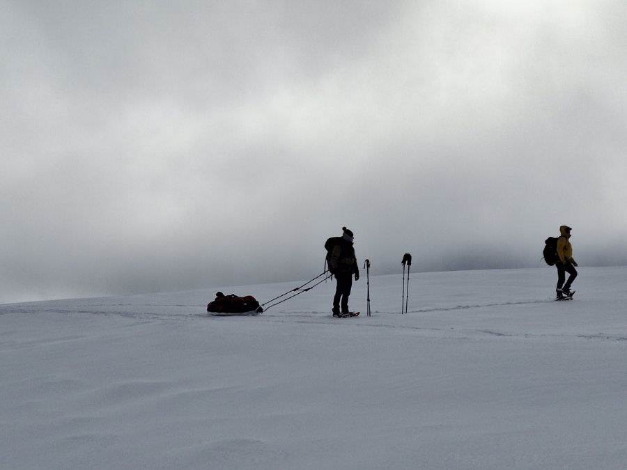 Deux personnes tirent une pulka en raquettes lors d'une immersion en bivouac