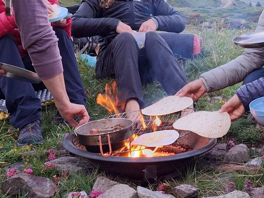 stage vie sauvage en drôme en pleine nature exploration plantes sauvages oiseaux