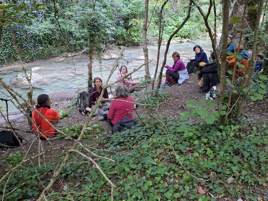stage vie sauvage en drôme en pleine nature exploration plantes sauvages oiseaux