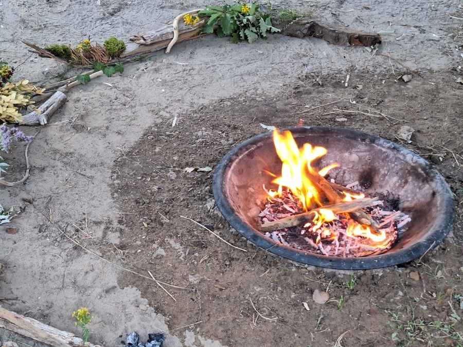 stage vie sauvage en drôme en pleine nature exploration plantes sauvages oiseaux