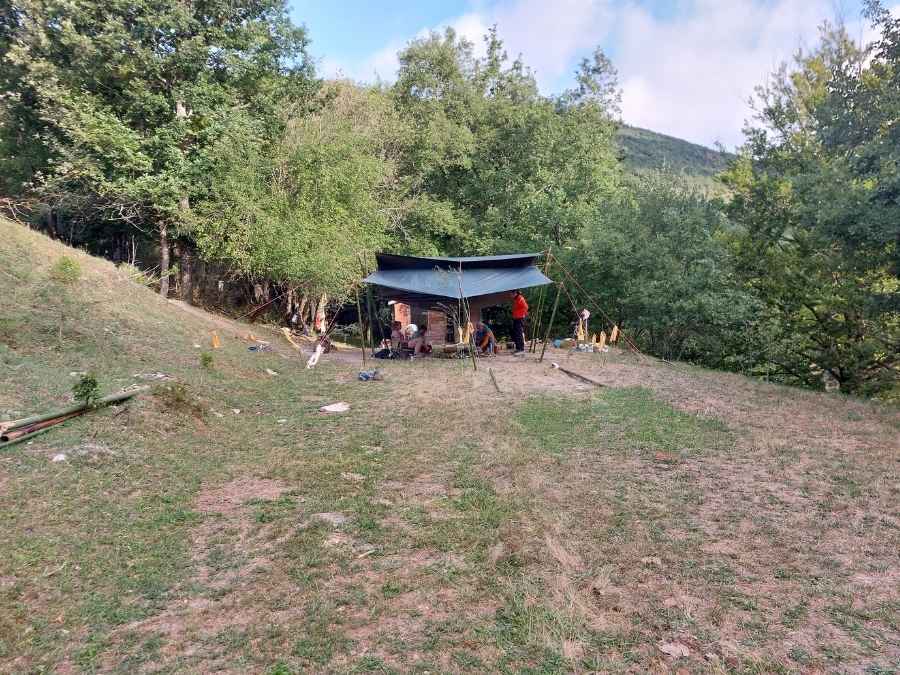 stage vie sauvage en drôme en pleine nature exploration plantes sauvages oiseaux
