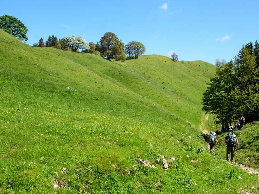 Immersion-philosophique-pierron-nature-Jura