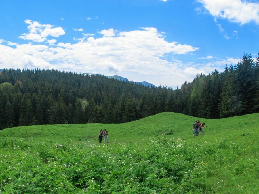 Immersion-philosophique-pierron-nature-Jura