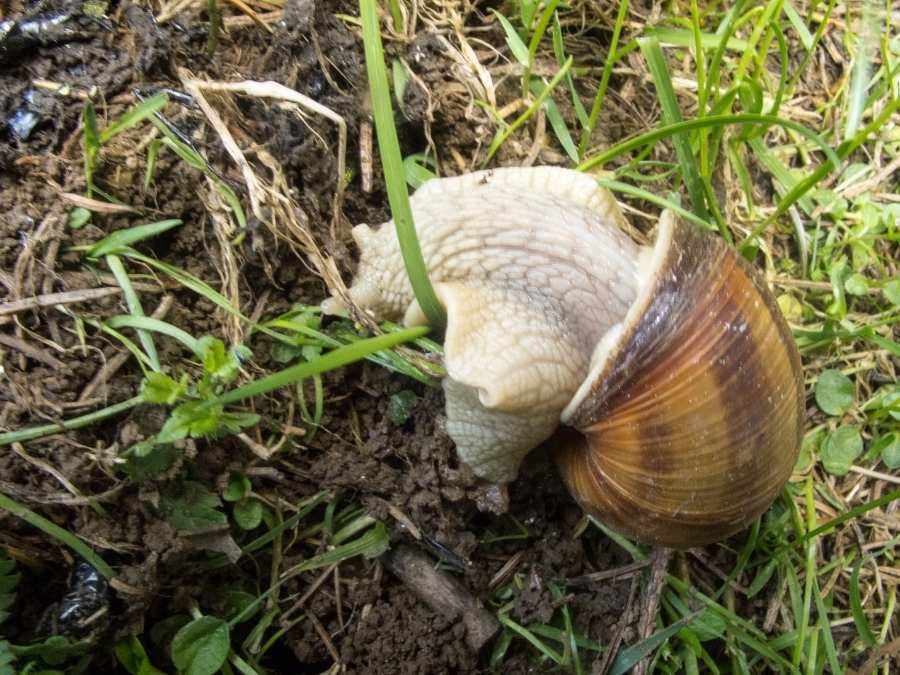 Immersion-philosophique-pierron-nature-Jura