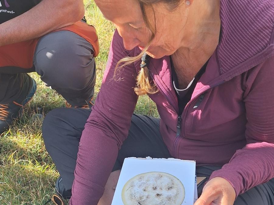 Immersion-philosophique-pierron-nature-Jura