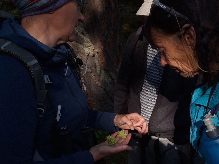 Immersion-philosophique-pierron-nature-Jura