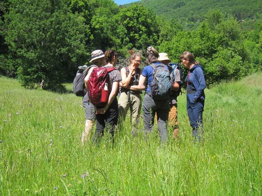 Faire tribu Vivre tribu Hugo Paul expérience collective en bivouac