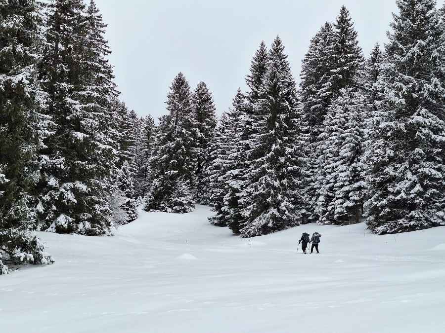 Bivouac_Raquettes_Jura_Tribu_Hiver